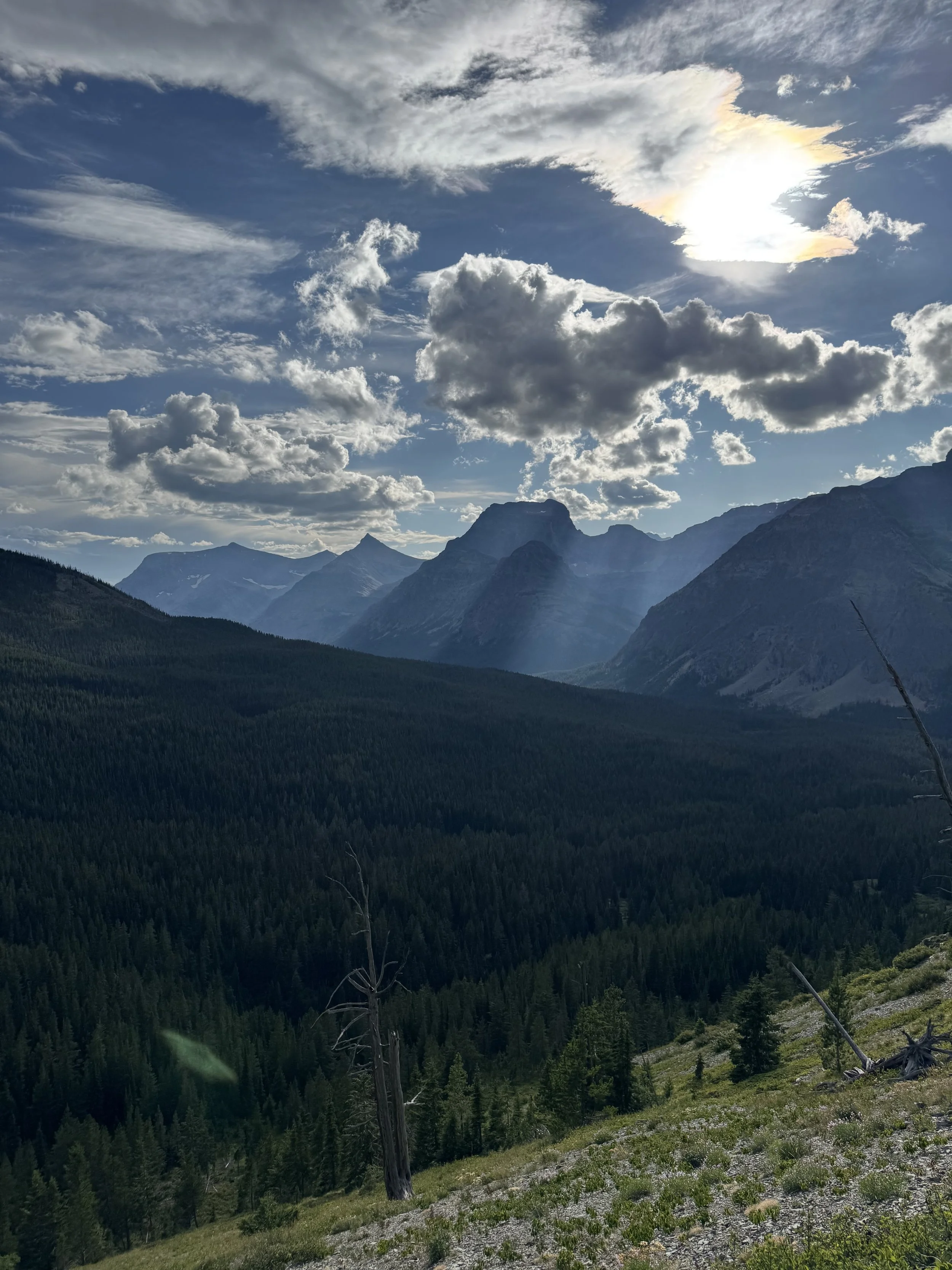Mountain landscape with a partly cloudy sky and the sun shining behind clouds, dense pine forest in the valley, and rocky terrain in the foreground.