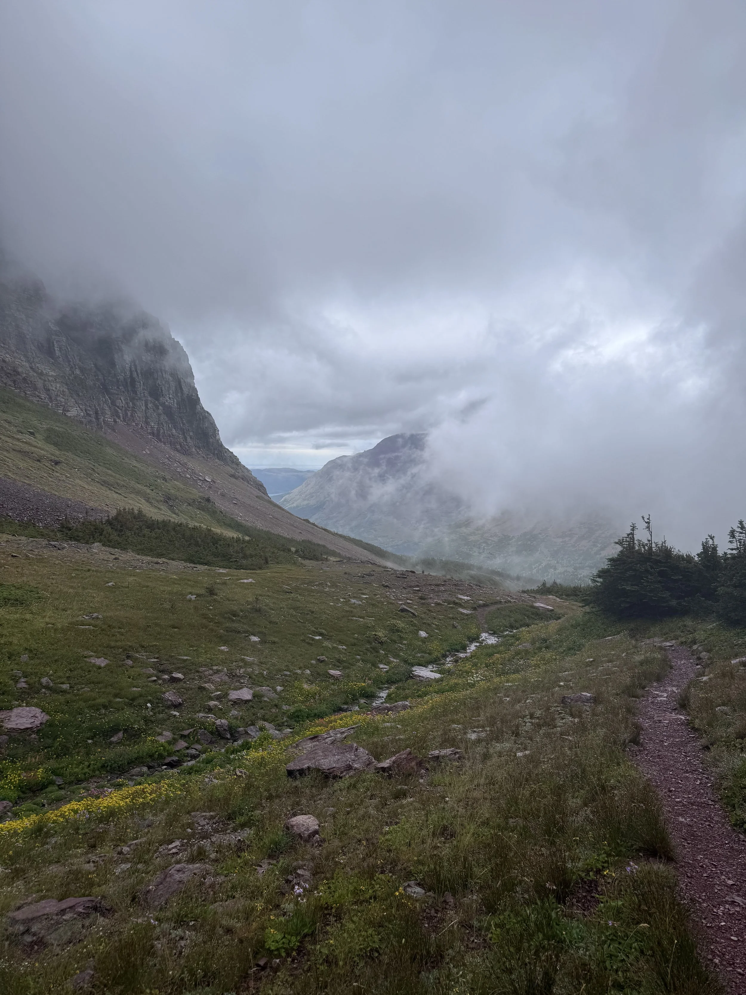 A misty mountain valley with lush green grass, a dirt path, and rocky mountains partially covered by clouds.