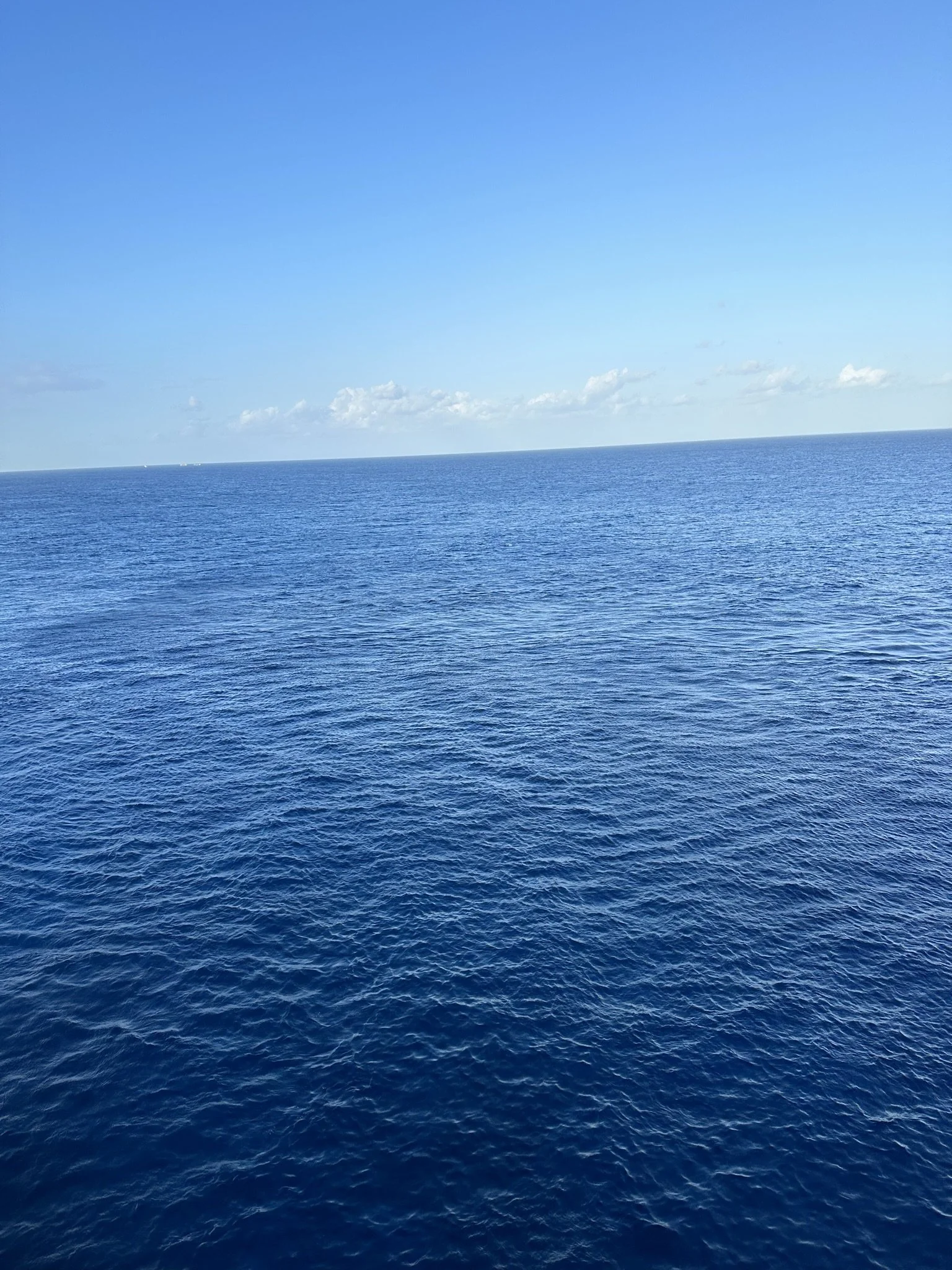 Gulf of Mexico Horizon