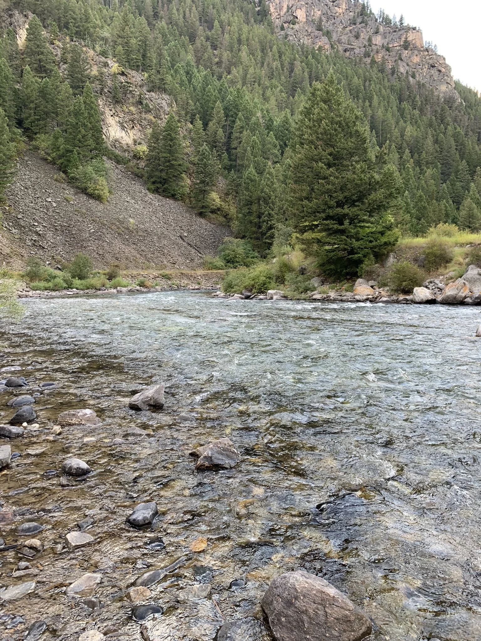 Montana River Bend