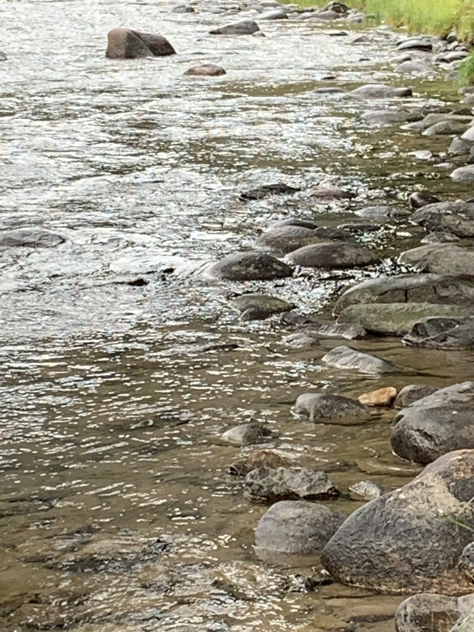 River in Montana