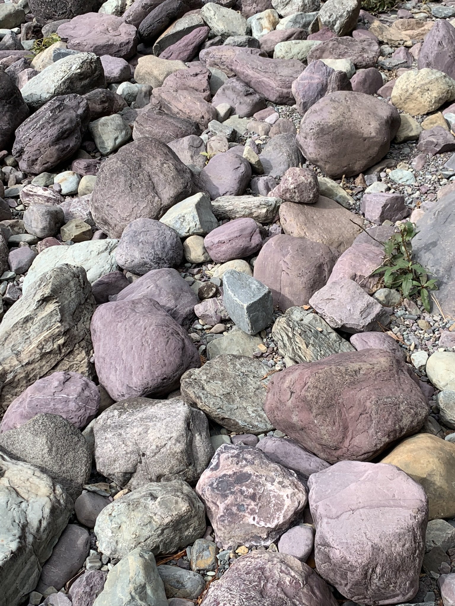 Colored Rocks on Shore in Montana