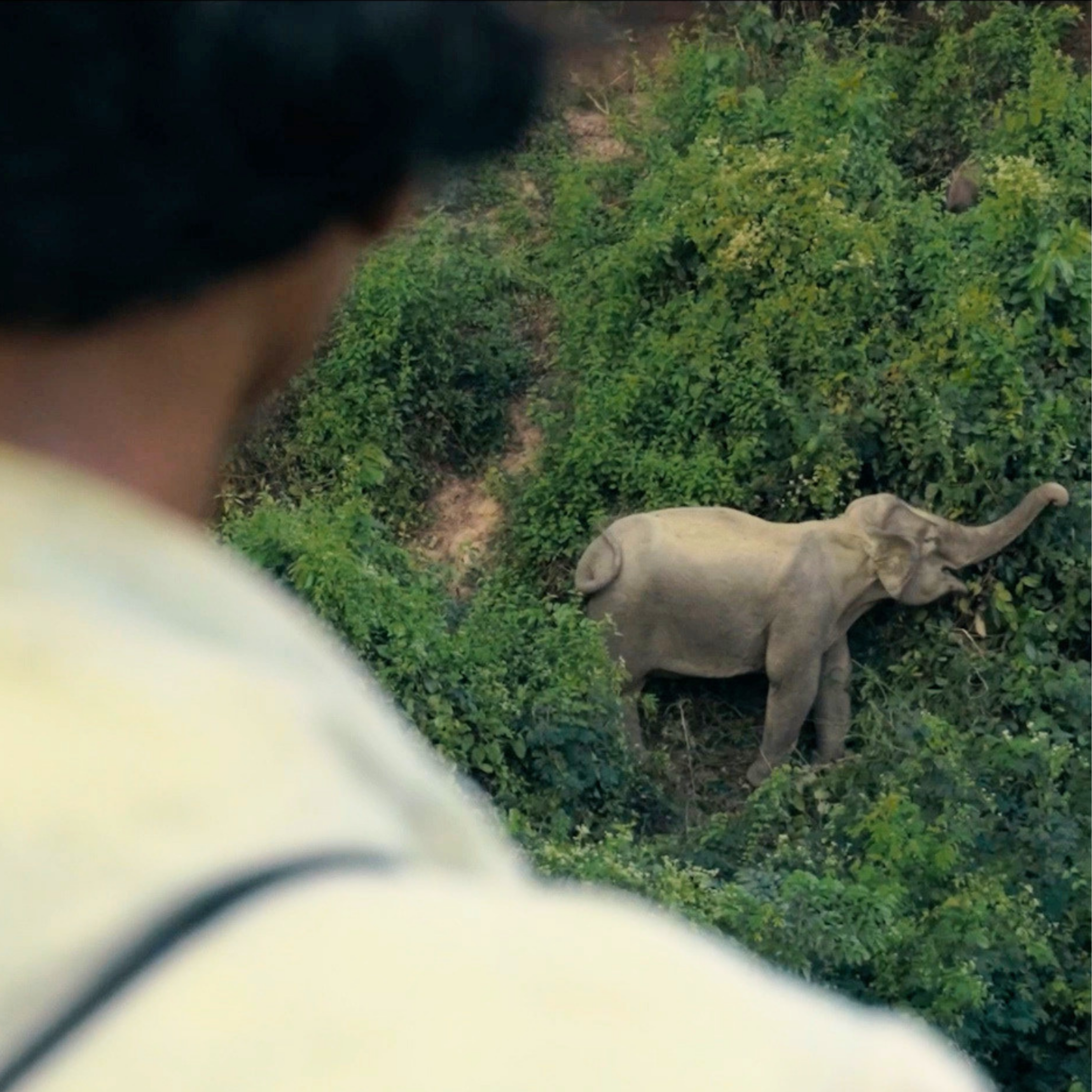 In the Path of Giants (2025)