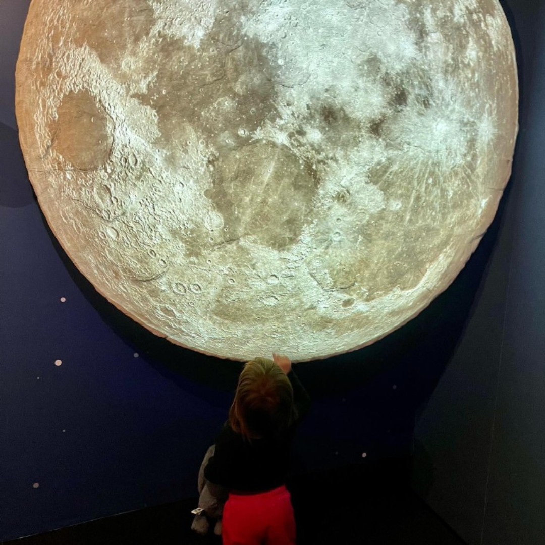 Spring is jumping out of this world at Te Whatau Stardome