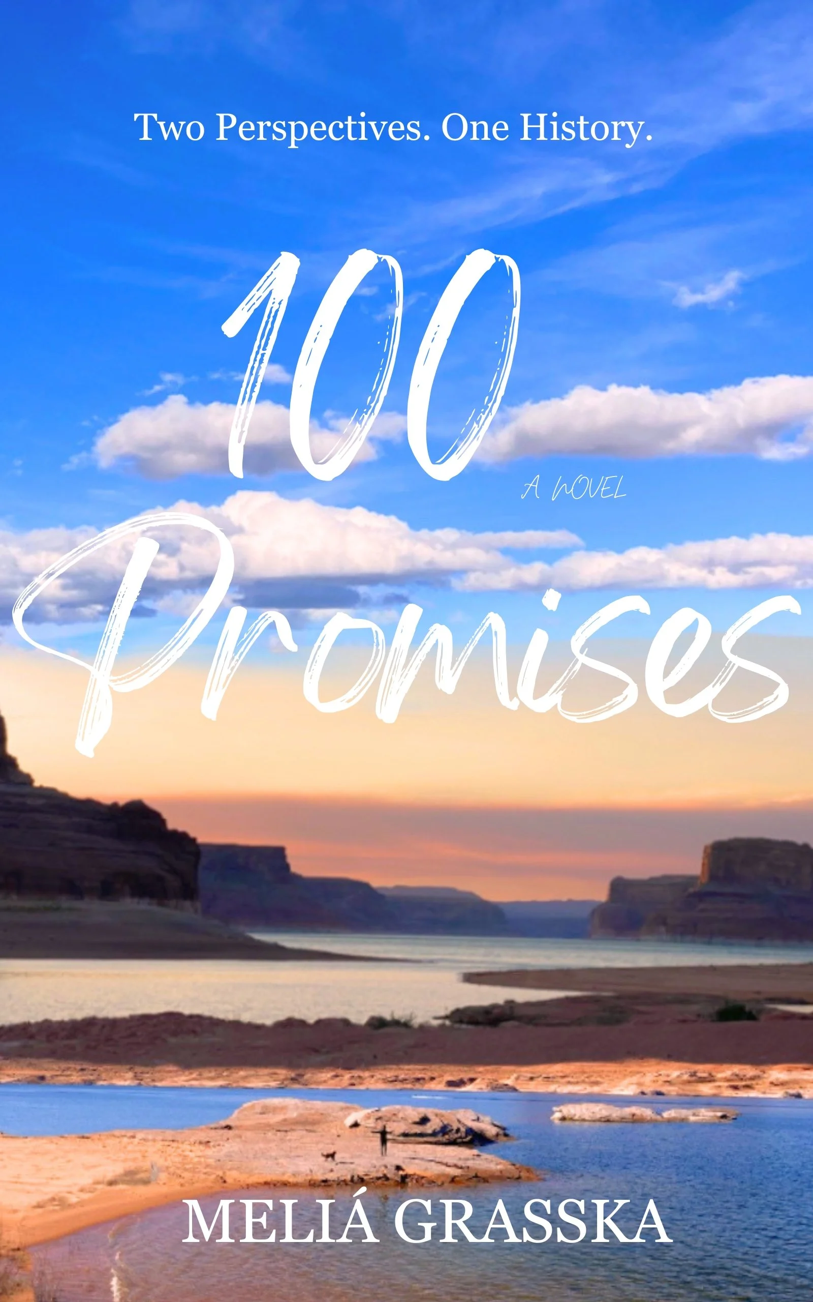 Why 100 Promises is the Perfect Book for a Book Club