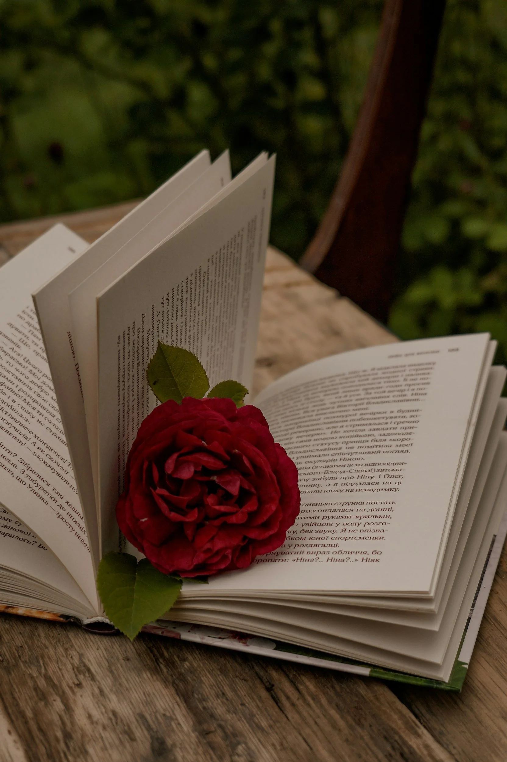 Why Read Romance?