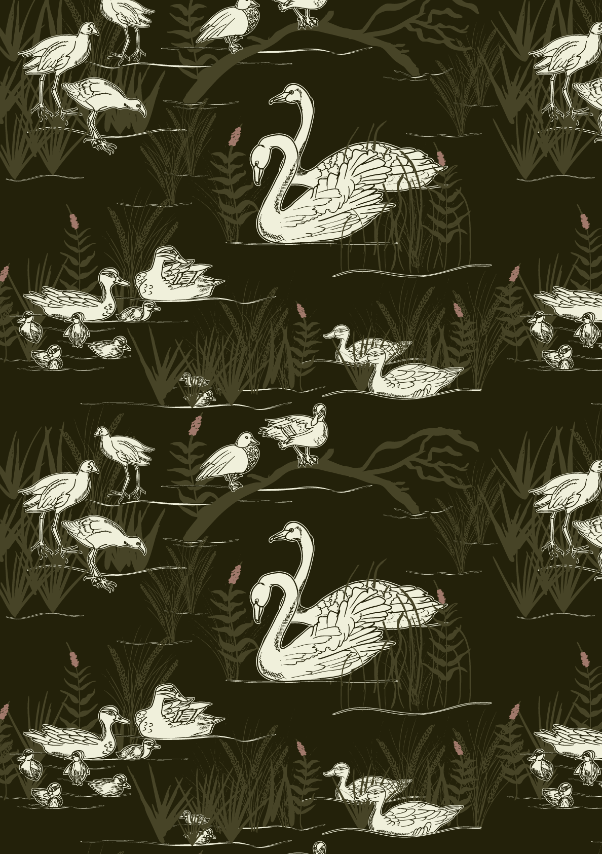 Where Ducks gather.png