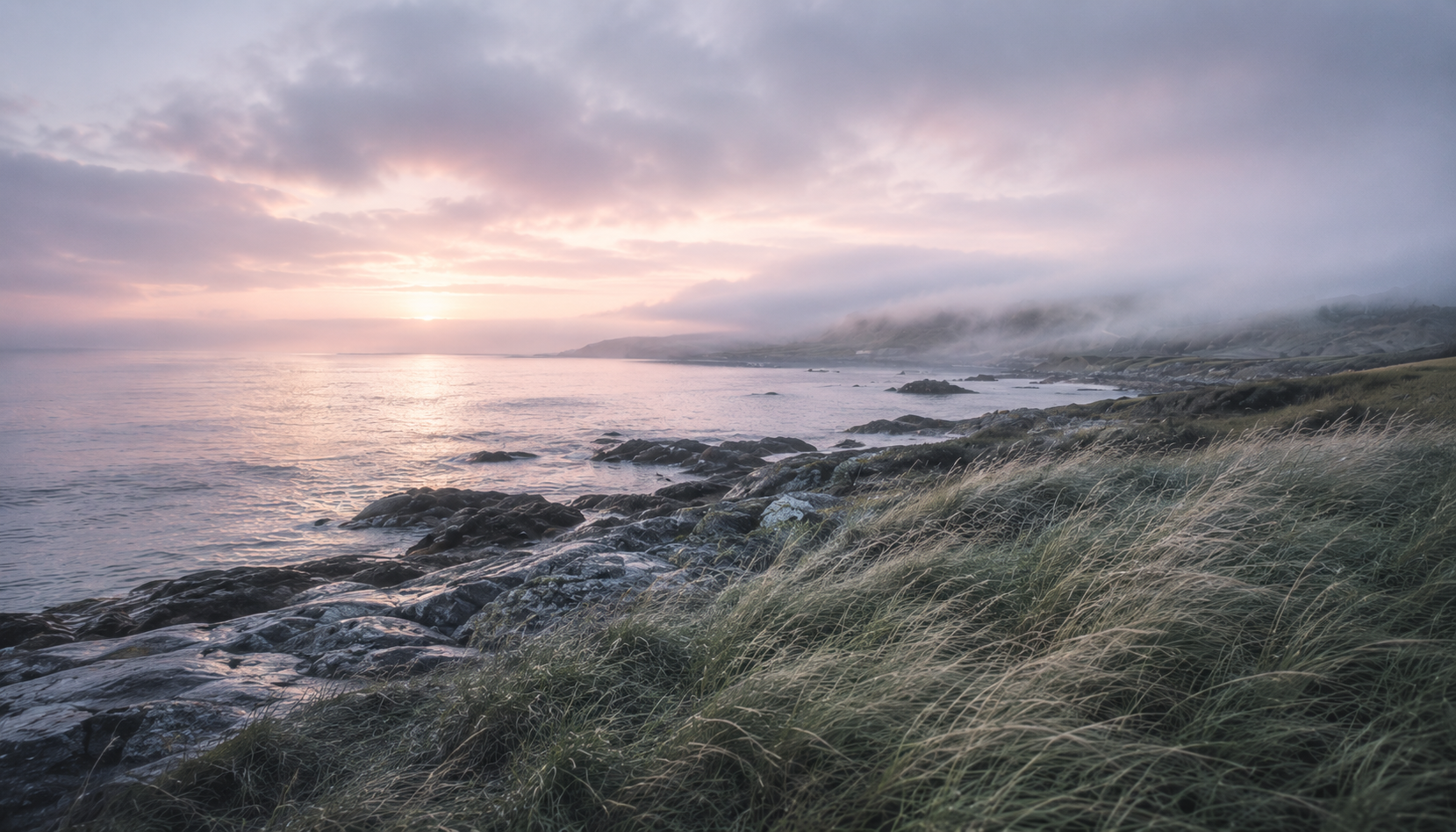 Misty coastal shoreline at sunrise with windswept sage grasses, rocky cliffs, soft lavender-pink sky, and marine fog drifting across the water. Atmospheric Soft Summer color palette in natural landscape.