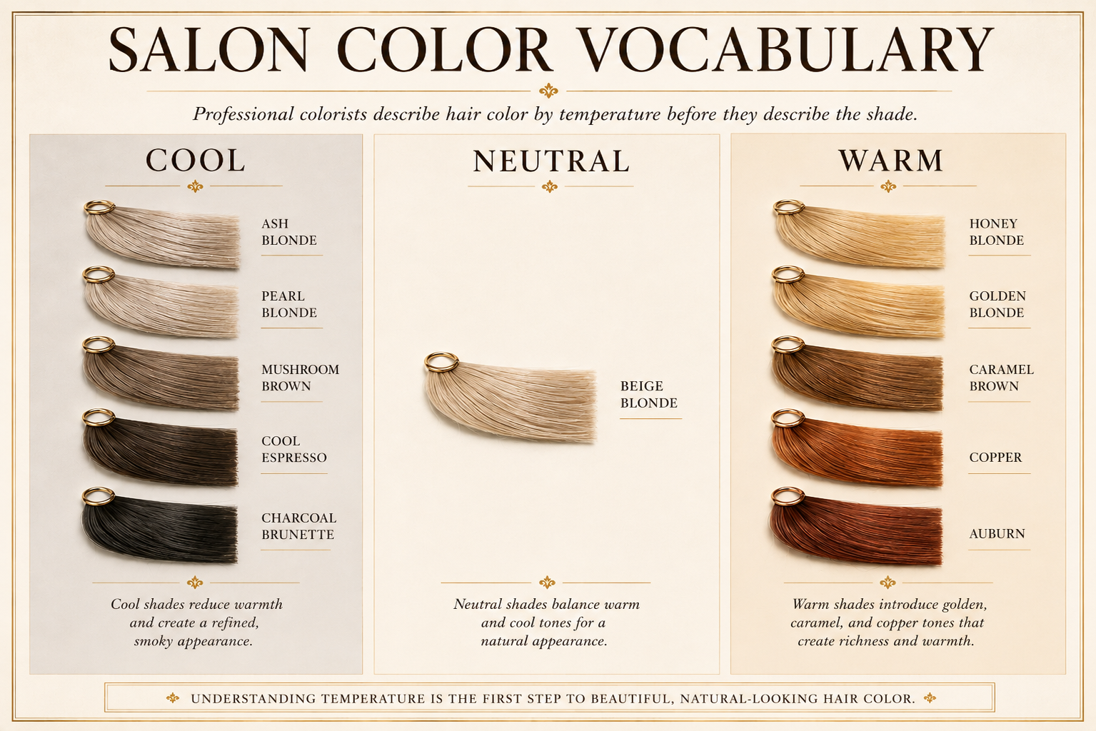 Learn professional salon hair color vocabulary with this luxury educational guide explaining cool, neutral, and warm hair color families using realistic salon swatches and expert terminology.