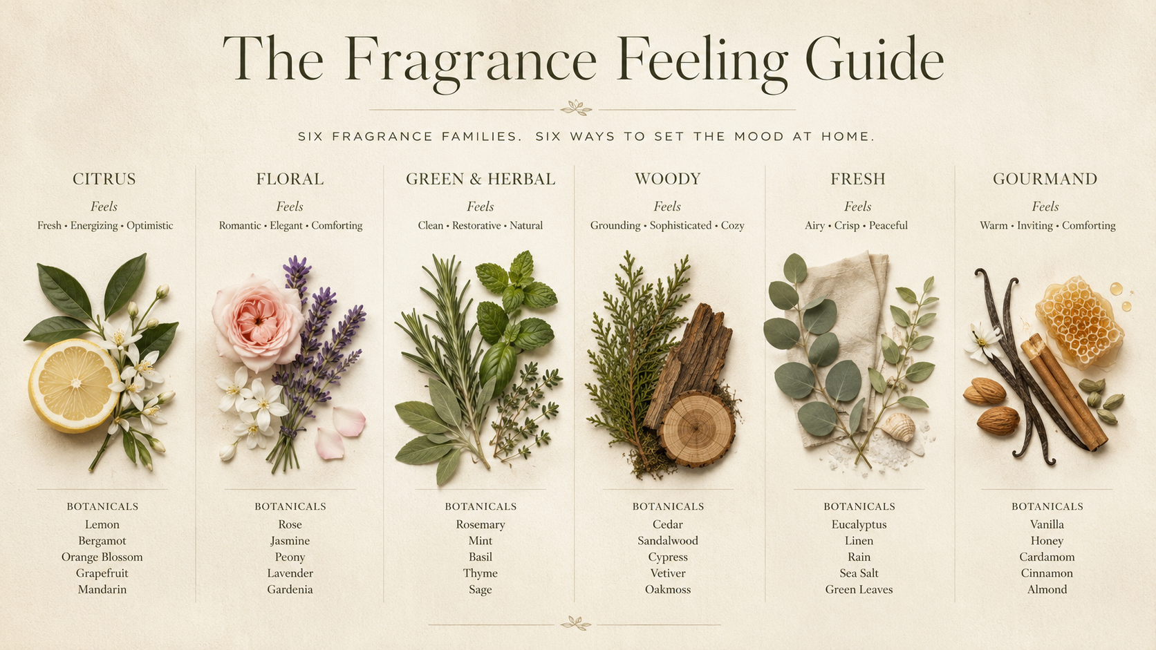 fragrance-feeling-guide-editorial-learning-plate