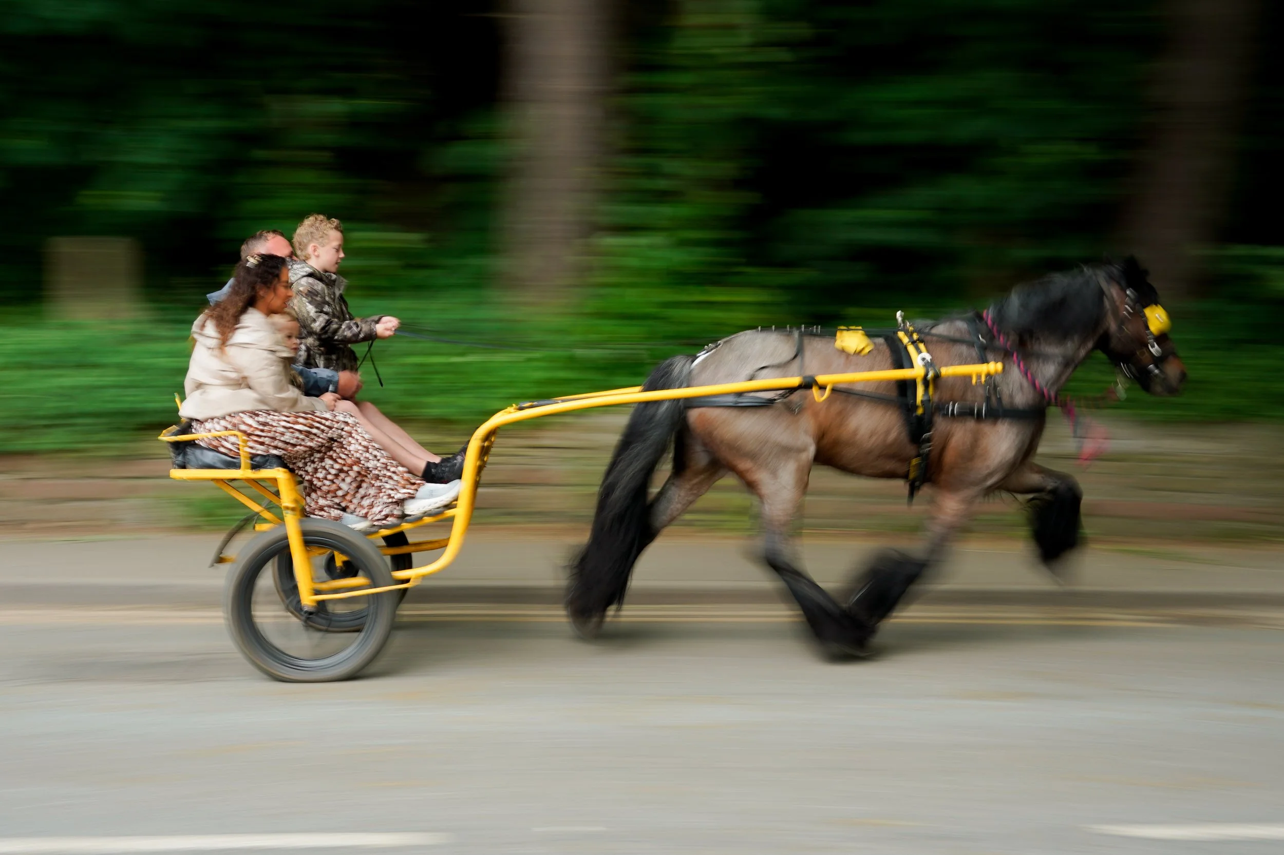 Appleby Horse Fair, Cumbria, June 2026