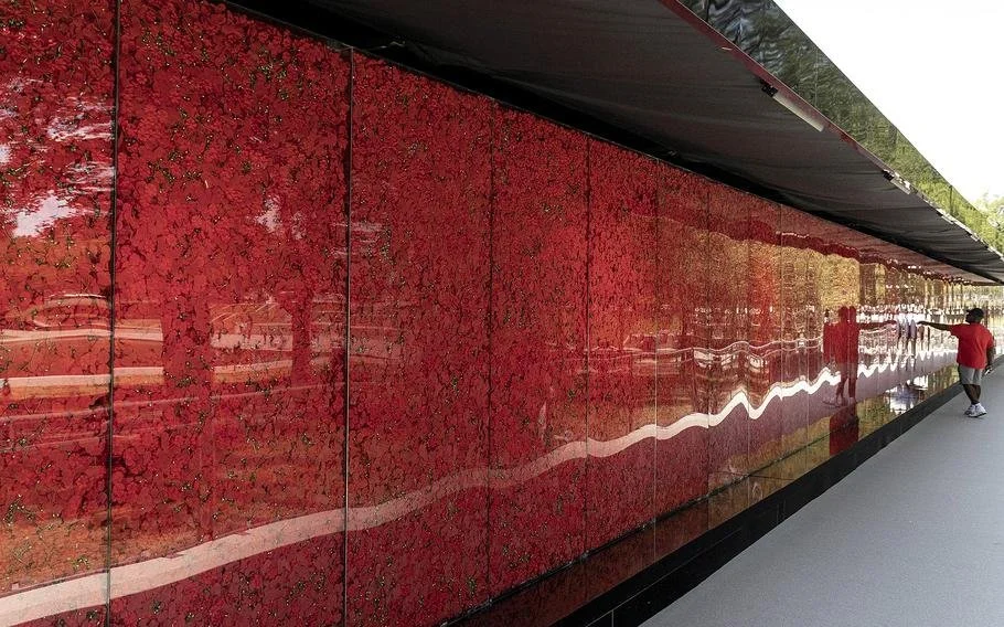 poppies06.jpg