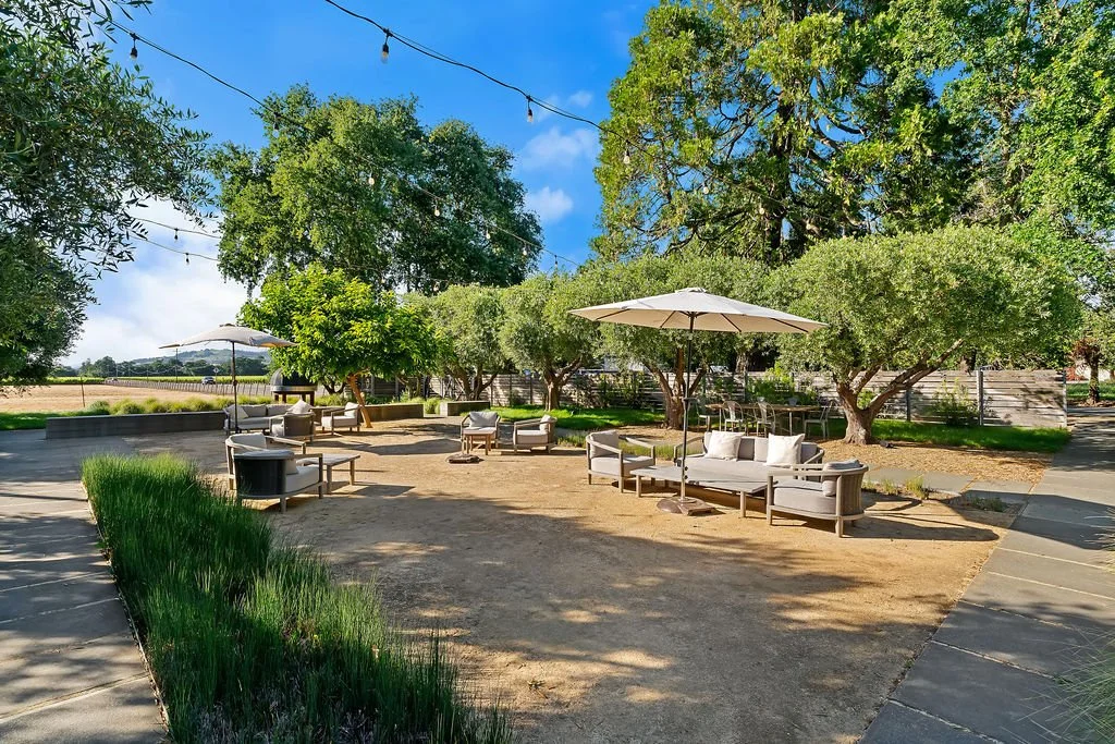 An outdoor seating area with sofas and chairs under large umbrellas, surrounded by trees and grass, with string lights hanging overhead.