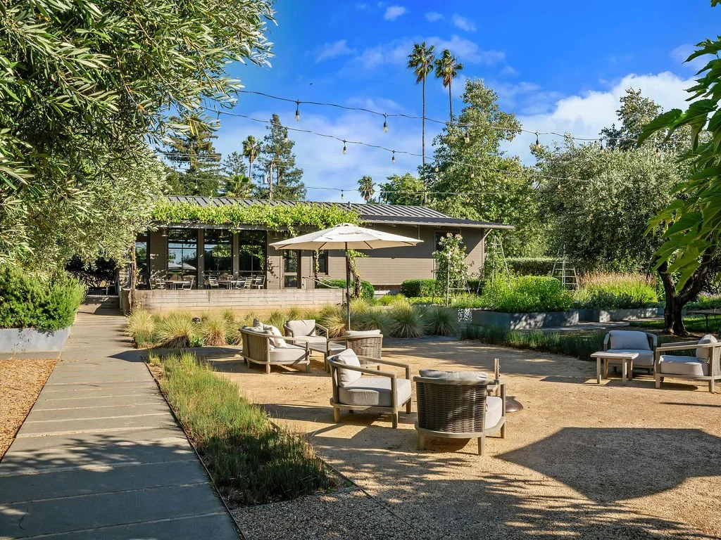 An outdoor patio area with lounge chairs, an umbrella, and string lights, surrounded by green plants and trees, with a building in the background on a sunny day.