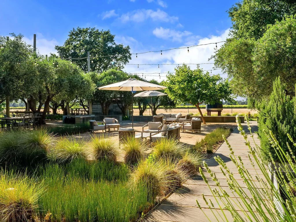 An outdoor patio area with comfortable seating under large umbrellas, surrounded by trees and greenery on a sunny day with a blue sky.