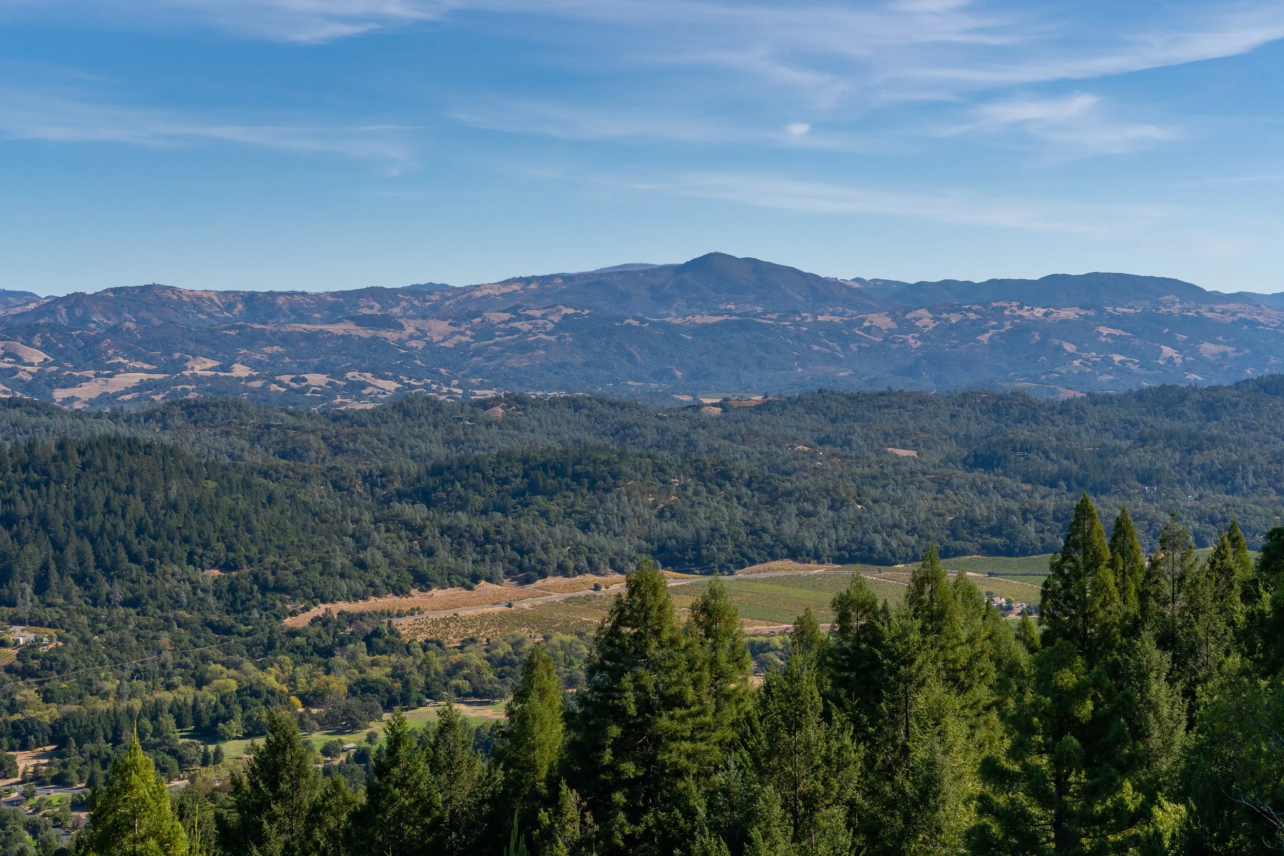 A scenic landscape with rolling hills, lush green trees, and distant mountains under a clear blue sky with wispy clouds.