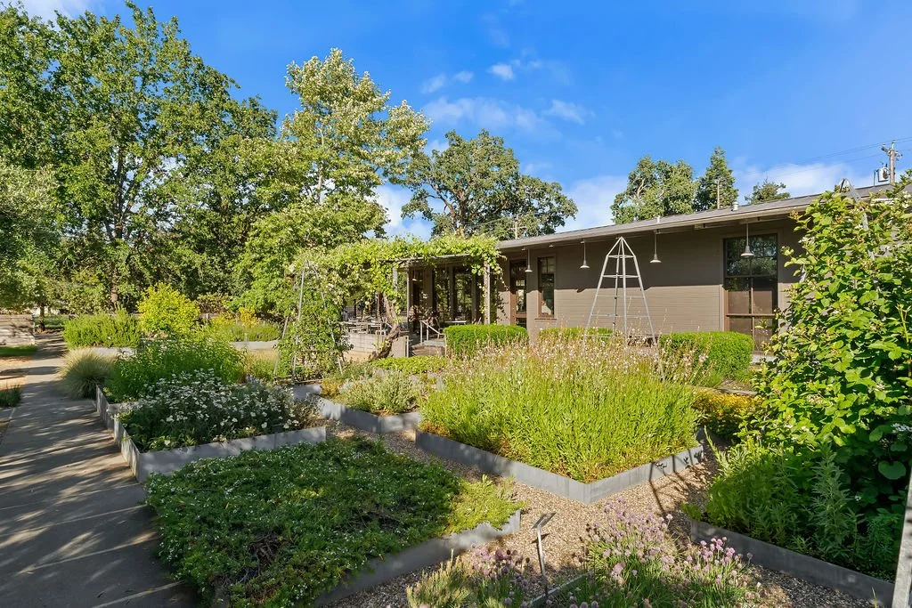 A lush garden with raised beds filled with green plants and flowers, a concrete pathway on the left, and a gray building in the background under a clear blue sky.
