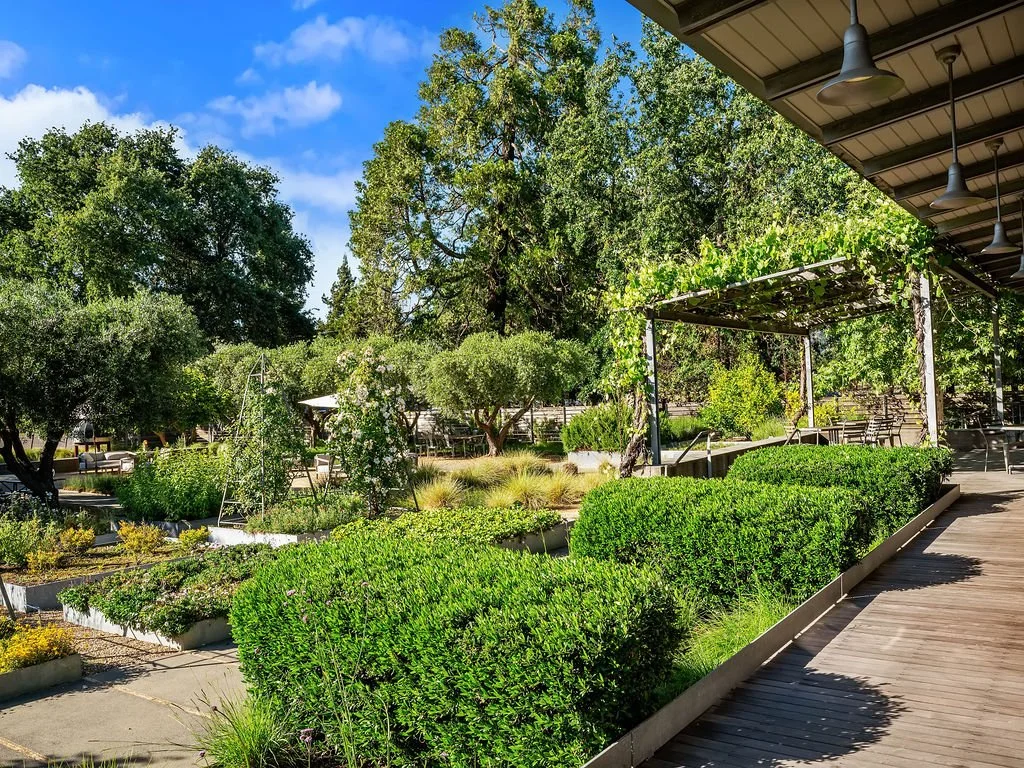 A lush garden with various green plants, trees, and shrubs, next to a covered outdoor seating area with wooden flooring and hanging lights under a partially shaded roof.