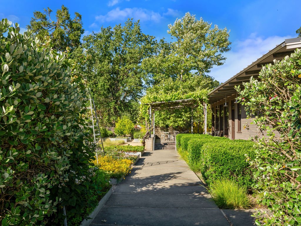A sidewalk with lush green bushes and trees on either side, leading to a pergola with outdoor seating, next to a house with a sloped roof, under a bright blue sky with a few clouds.