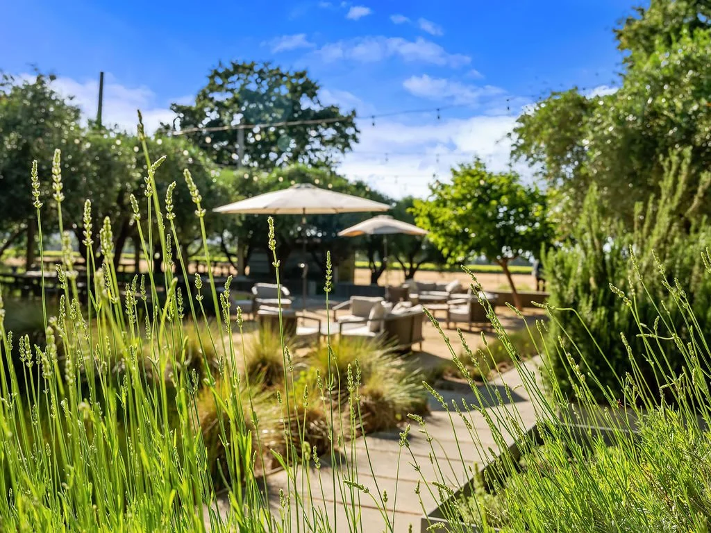 Outdoor patio with chairs and tables under umbrellas, surrounded by lush green plants and trees, with string lights overhead on a sunny day.