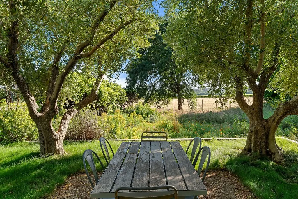A rustic outdoor table with six chairs under large trees in a lush green garden with a field in the background.