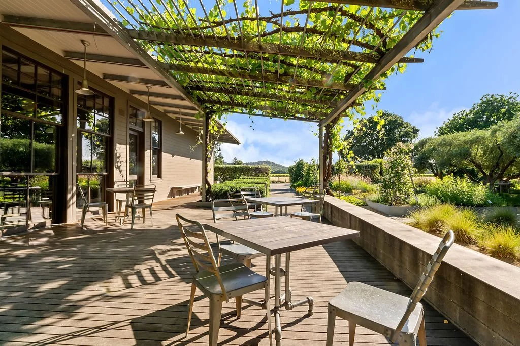 Empty outdoor patio with tables and chairs under a wooden pergola with green vines, next to a garden and a building with large windows under a clear blue sky.