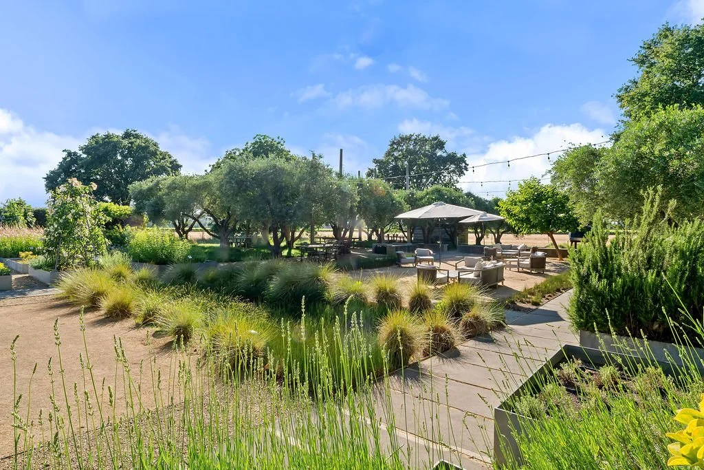 A landscaped outdoor seating area with patio furniture, shaded by trees and surrounded by green plants and shrubs on a sunny day.