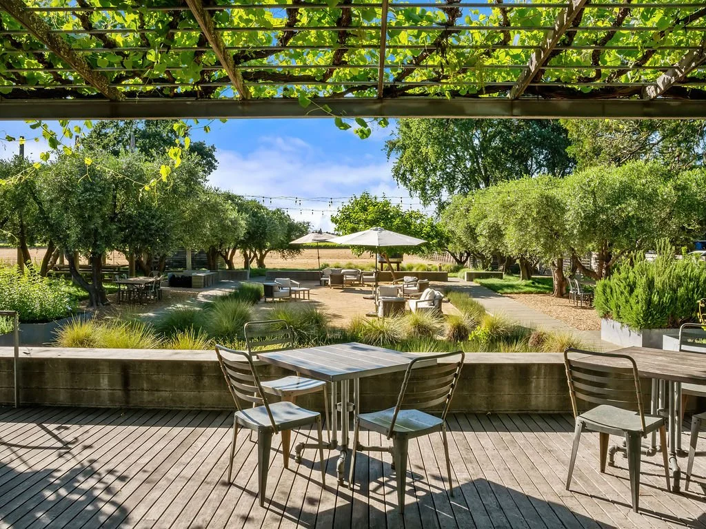 An outdoor patio with metal chairs and tables overlooking a lush garden with trees, shrubs, and a sand-colored path, under a wooden pergola with green vines.