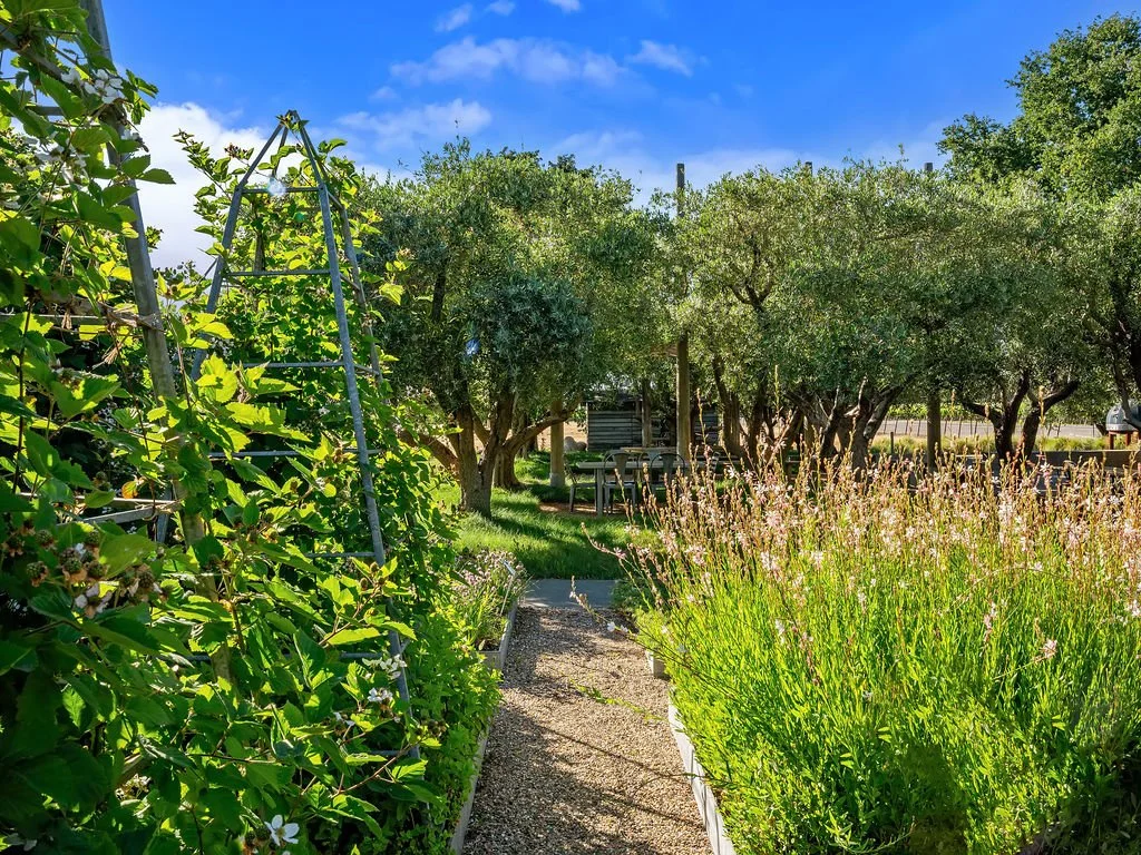 A garden with lush green plants on the left and tall grasses on the right, a paved pathway in the middle, trees in the background, and a blue sky with some clouds.