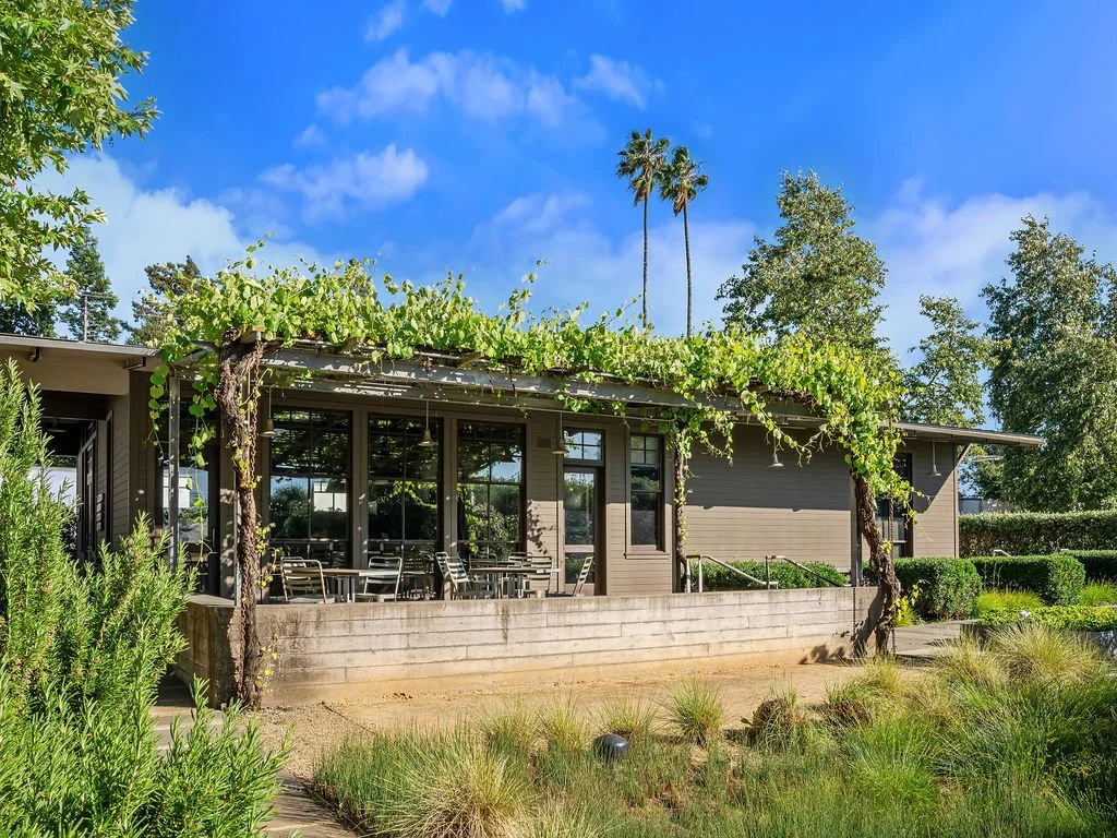 A modern house with large windows and a patio covered by a pergola with green vines. Tall palm trees and other green trees are in the background under a bright blue sky.