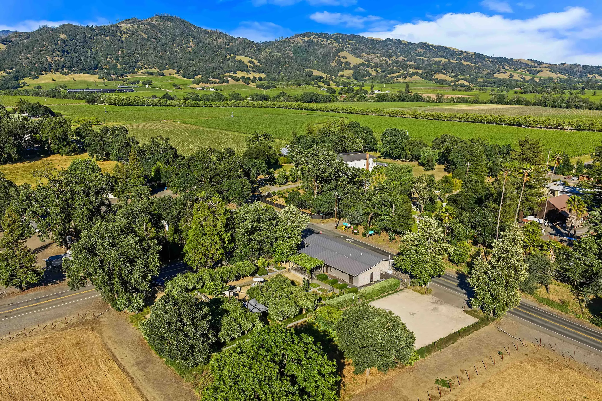 A scenic aerial view of lush green vineyards, trees, and a few houses set against rolling hills and mountains under a partly cloudy sky.