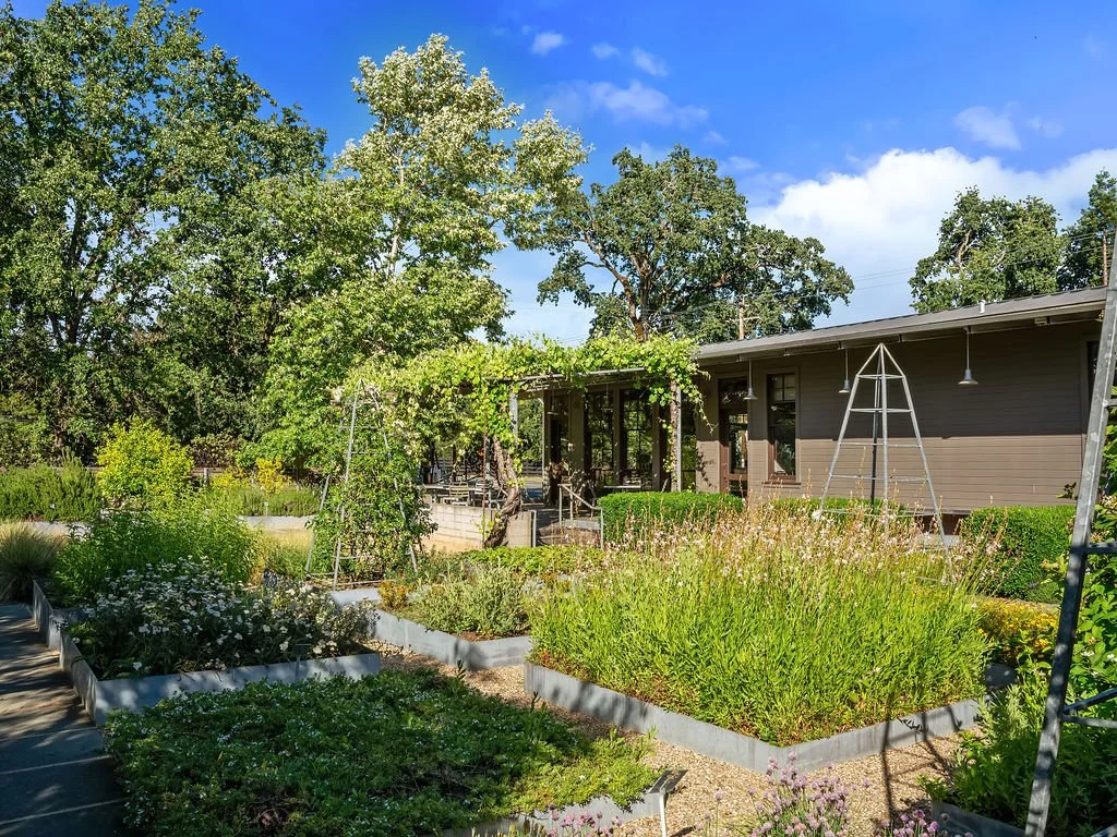 A garden with vegetable and flower beds in front of a gray house, tall trees, and a partly cloudy blue sky.