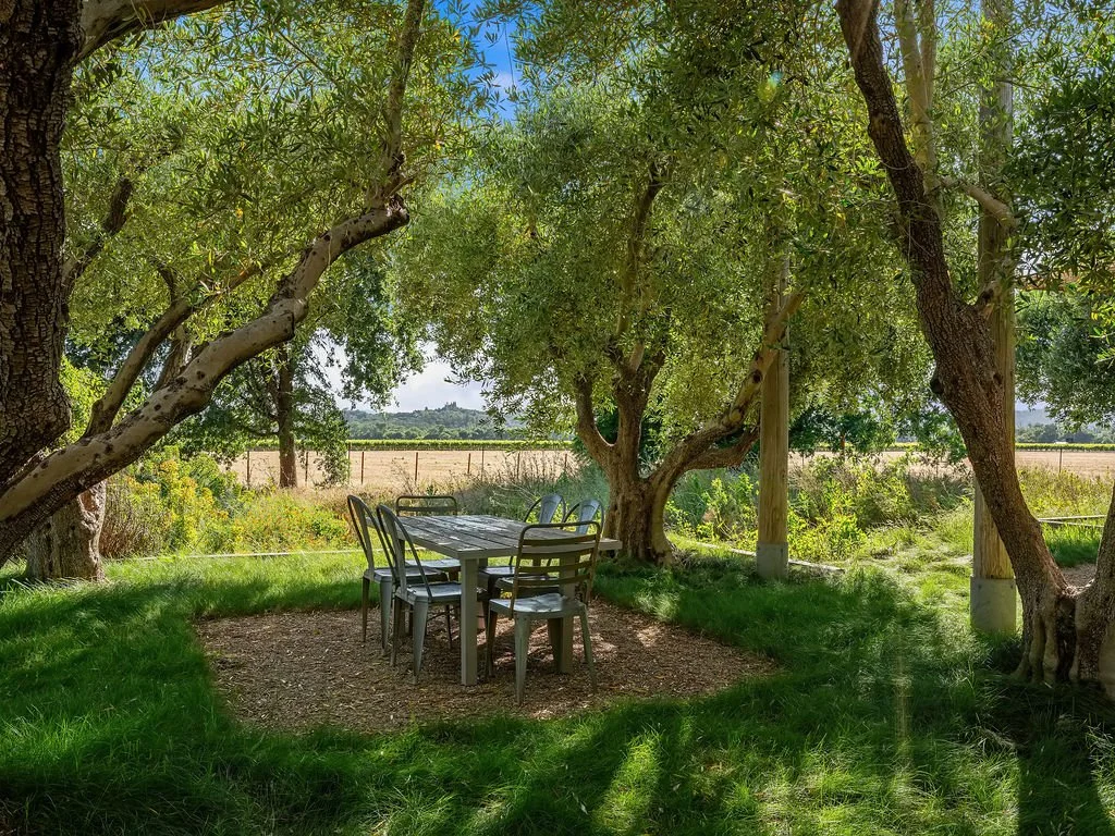 Outdoor table and chairs under large leafy trees in a grassy yard with a field in the background.