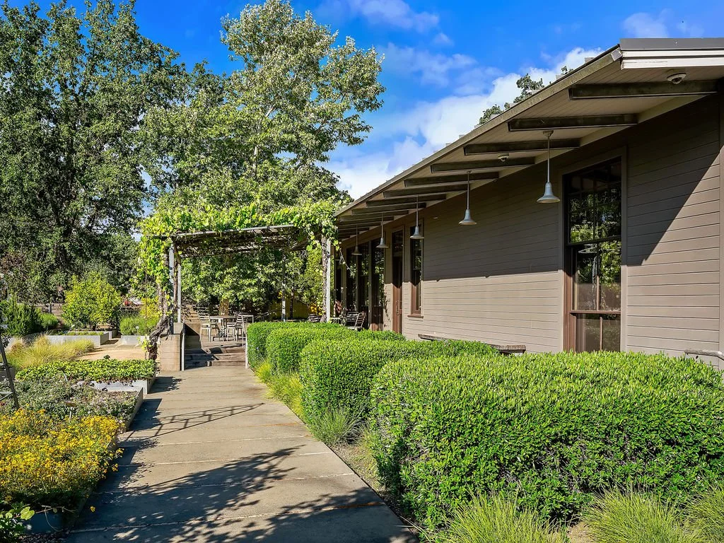 A house with a covered outdoor patio and string lights, surrounded by a garden with green bushes, trees, and flowering plants on a sunny day with a blue sky.