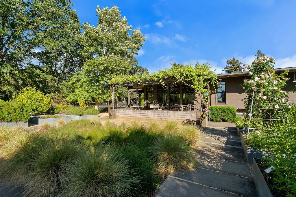 A garden with lush greenery, ornamental grasses, and flowering plants, featuring a house with a porch covered by vine and surrounded by trees under a bright blue sky.