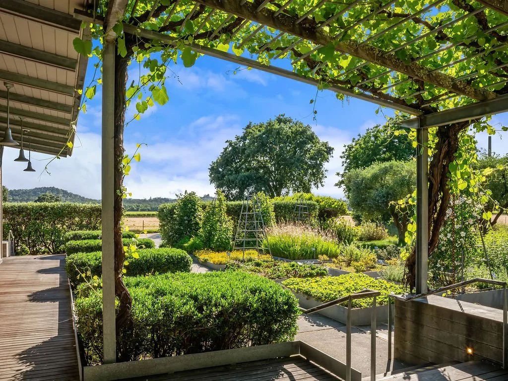 View of a lush garden with various shrubs, trees, and plants seen from a porch with wooden decking and a pergola covered in green vine leaves. Clear blue sky with some clouds in the background.