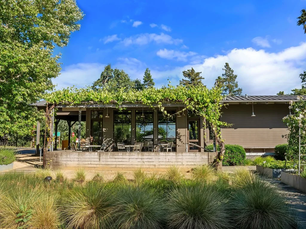 A modern building with outdoor seating under a grapevine-covered pergola, surrounded by greenery and trees, with a blue sky and some clouds overhead.