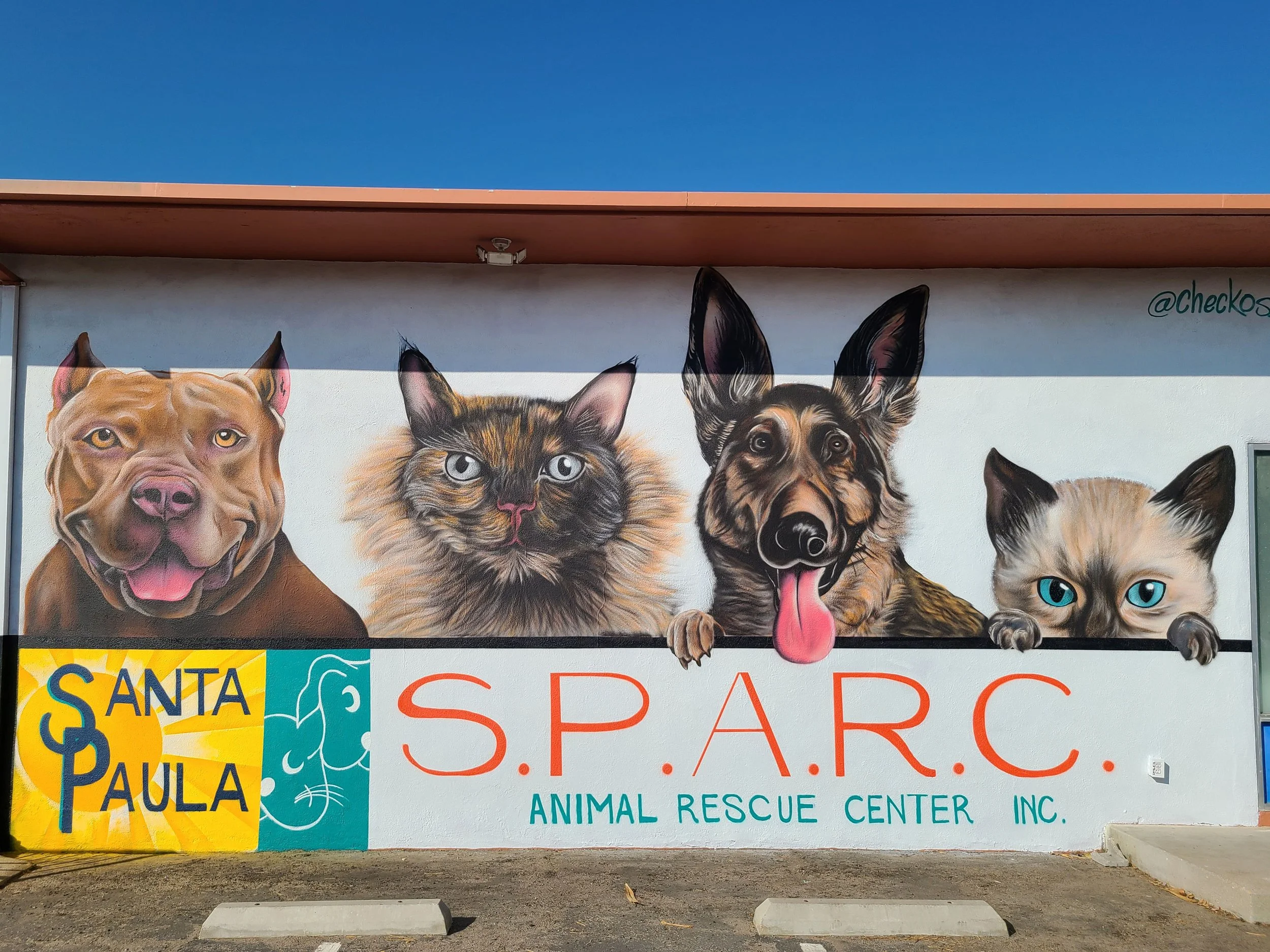 sparc.jpg