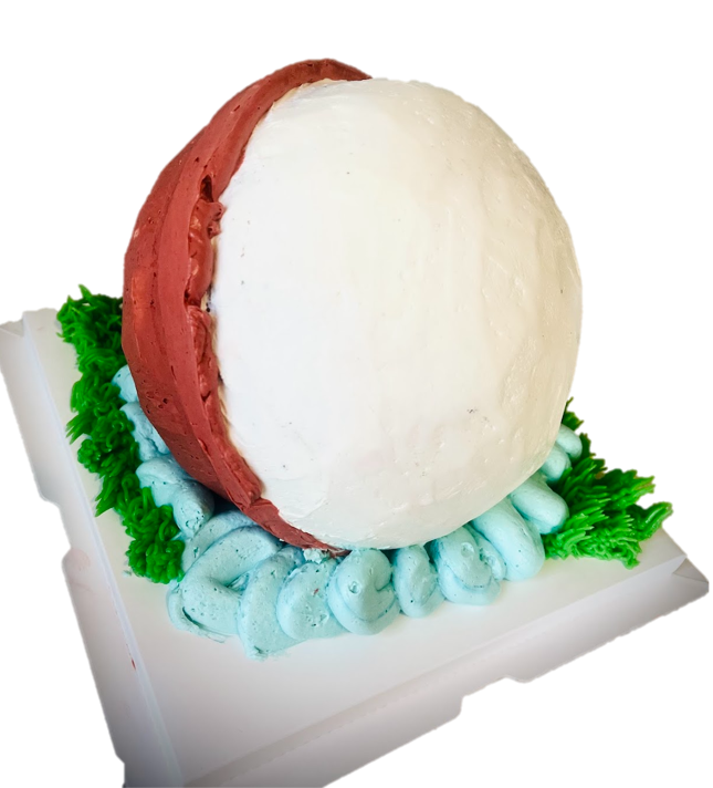 The Big ONE fishing 1st birthday smash cake bobber