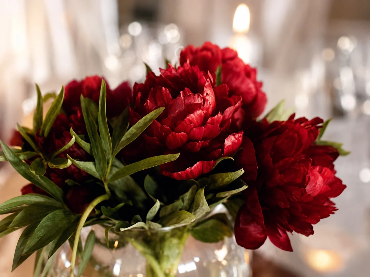 Close-up of a bouquet of red peonies with green leaves in a glass vase, blurred background with warm lighting.