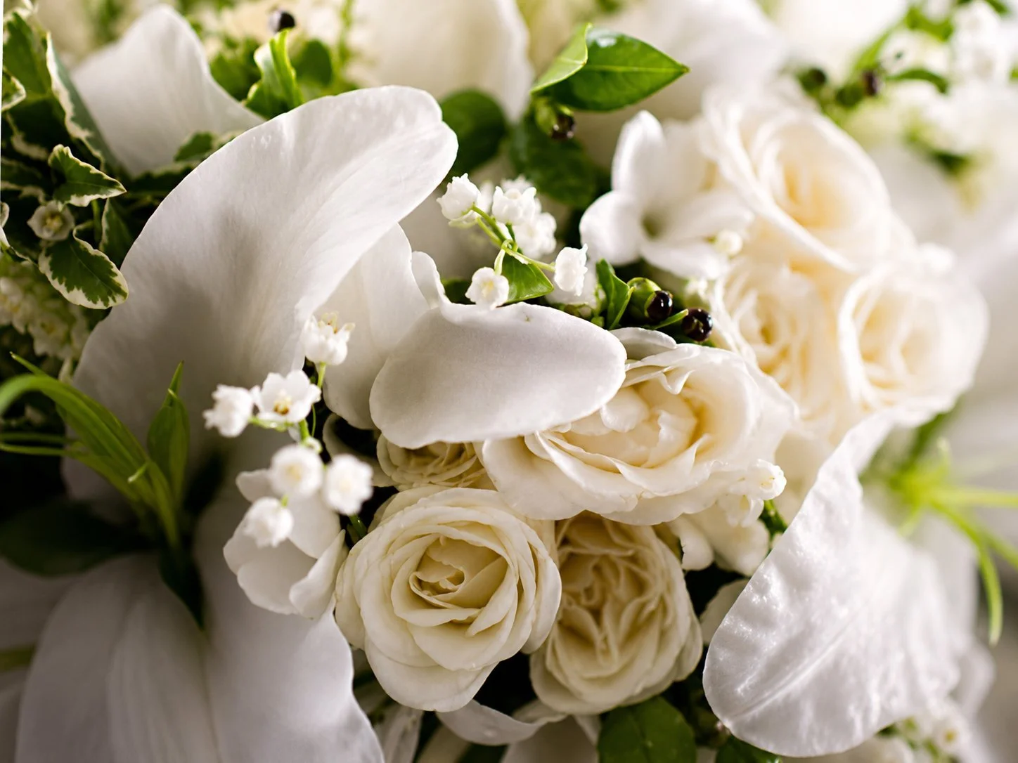 Close-up of a bouquet with white roses, lilies, and small white flowers, accented with green leaves and dark berries.
