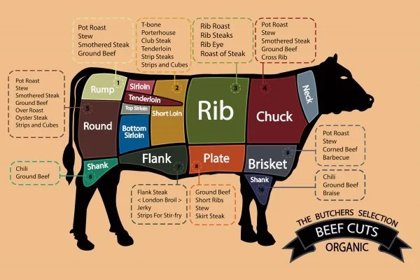 Beef - Primal Cuts.jpg