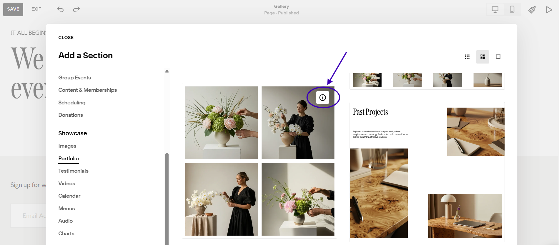 A screenshot showing that the layout options that have an "i' symbol are specifically gallery sections (when you go to add a portfolio section in Squarespace).