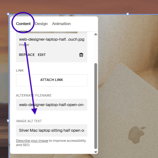 This shows where to find the text field to edit alt text for an image in Squarespace.