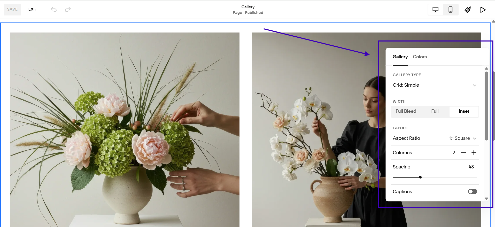 A screenshot showing what's editable when you click Edit Section with a gallery section in Squarespace.
