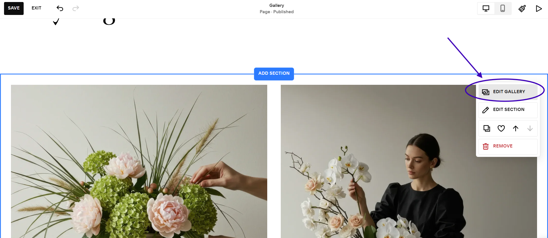 A screenshot showing where to find the Edit Gallery option in Squarespace.