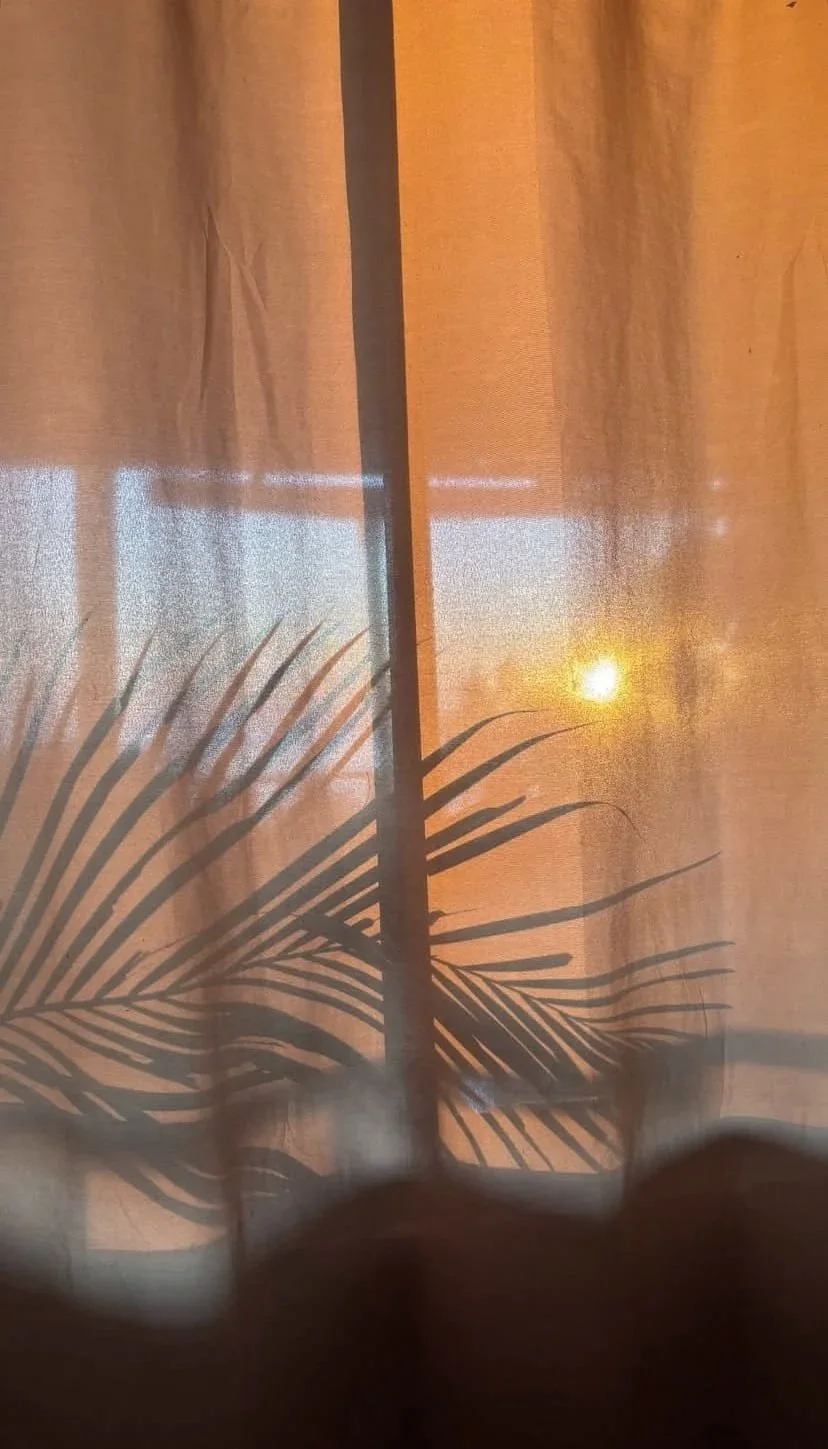 Artistic sheer window curtain showing the morning sun and a shadow of a palm plant.