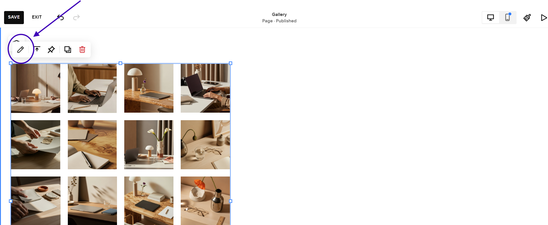 A screenshot showing how to edit the photos in a gallery block in Squarespace.