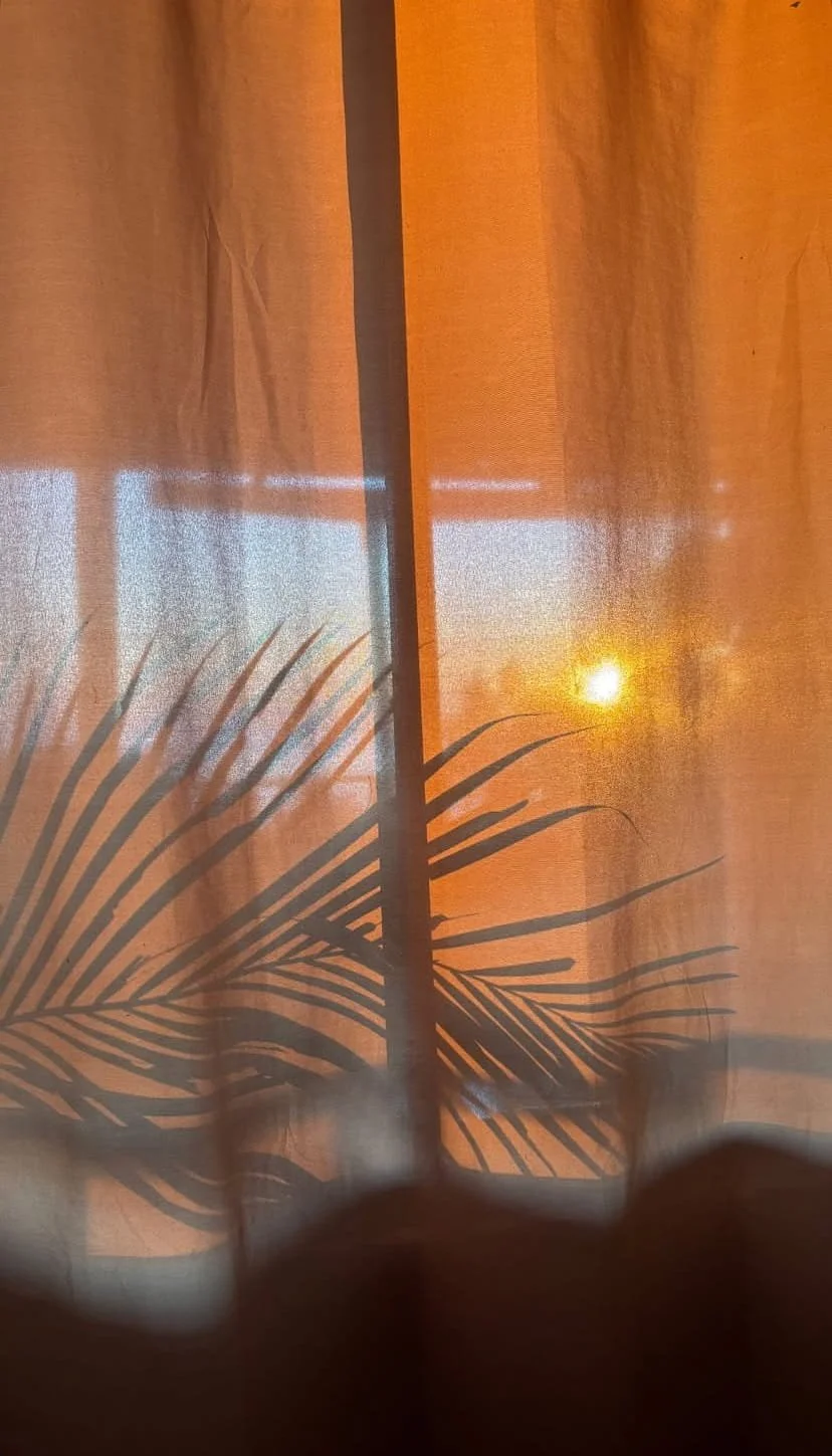 Artistic sheer window curtain showing the morning sun and a shadow of a palm plant.