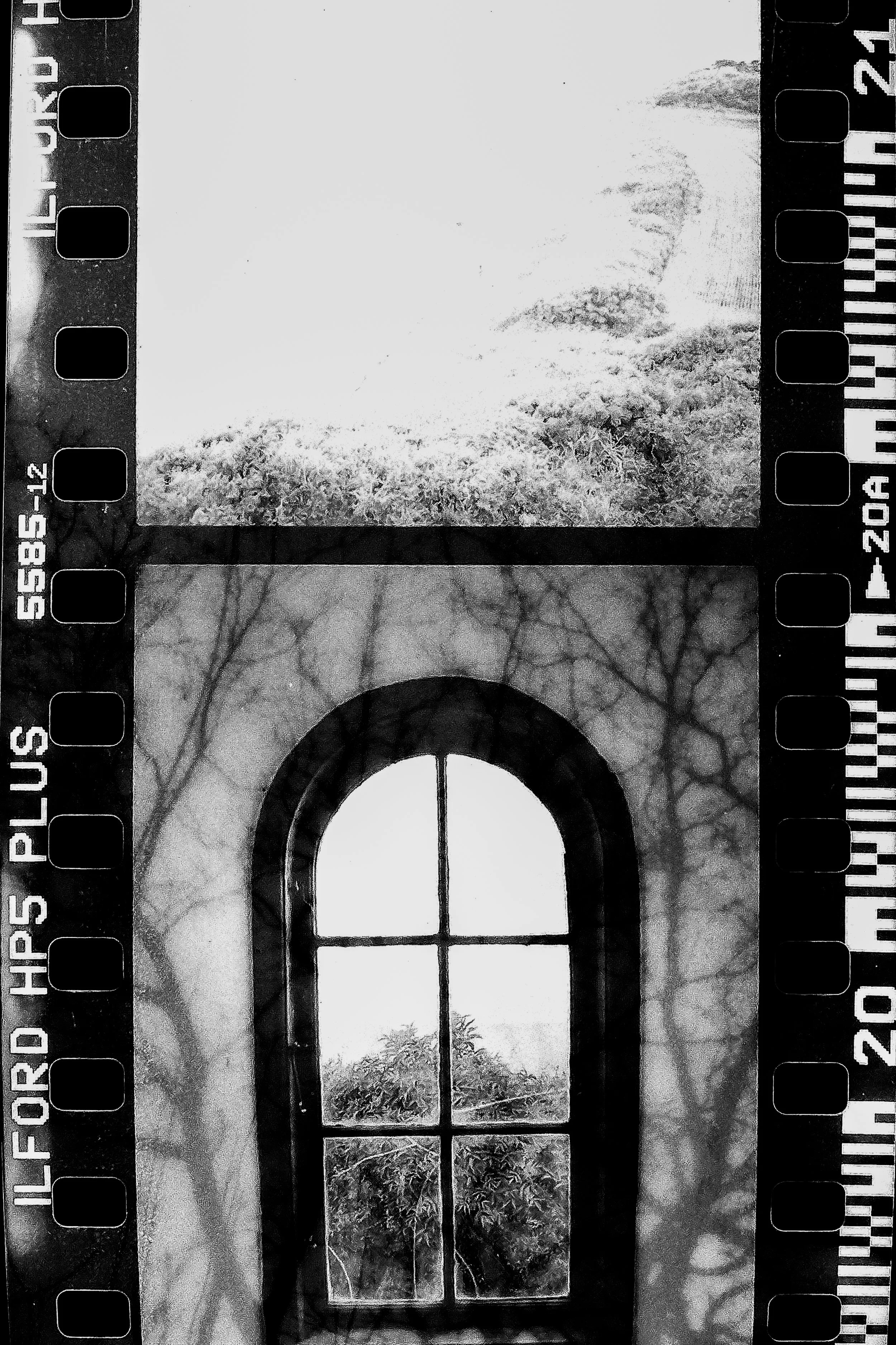 PICT0095.jpg